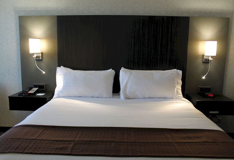 Hotel Holiday Inn Carlsbad  | Carlsbad | California | United States 6