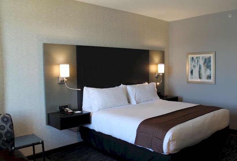 Hotel Holiday Inn Carlsbad  | Carlsbad | California | United States 7