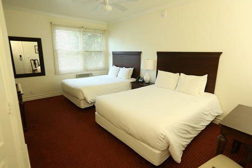 Hotel Atwater  | Avalon | California | United States 11