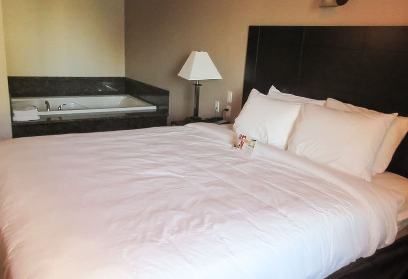 Hotel Quality Inn & Suites Bakersfield  | Bakersfield | California | United States 4