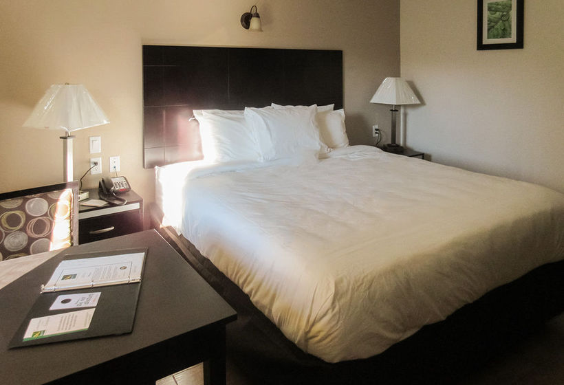 Hotel Quality Inn & Suites Bakersfield  | Bakersfield | California | United States 7