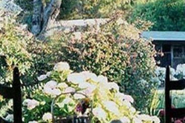 Hotel Carmel's Hidden Valley Inn  | Carmel Valley | California | United States 3