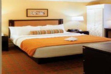 Carlsbad Inn Beach Resort  | Carlsbad | California | United States 18