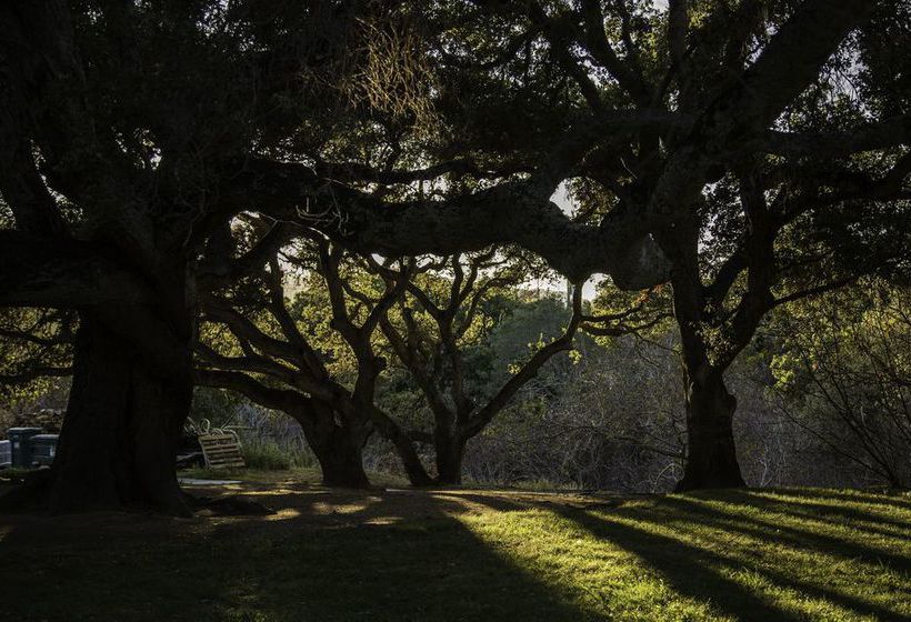 Hotel Blue Sky Lodge  | Carmel Valley | California | United States 13