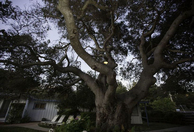 Hotel Blue Sky Lodge  | Carmel Valley | California | United States 17