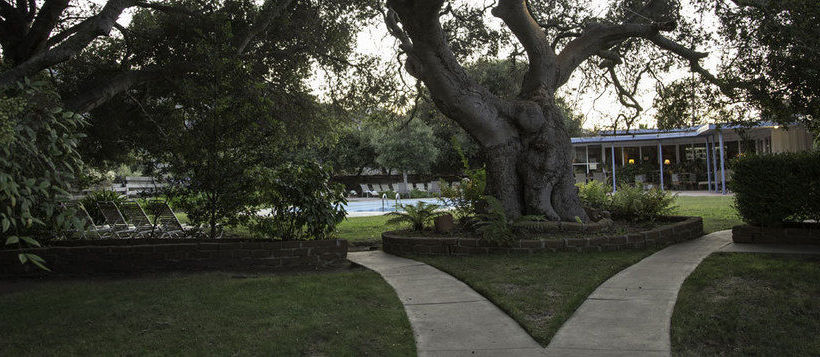 Hotel Blue Sky Lodge  | Carmel Valley | California | United States 2