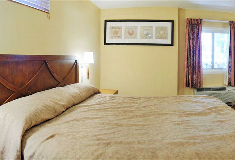 Best Western Catalina Canyon Hotel  | Avalon | California | United States 4