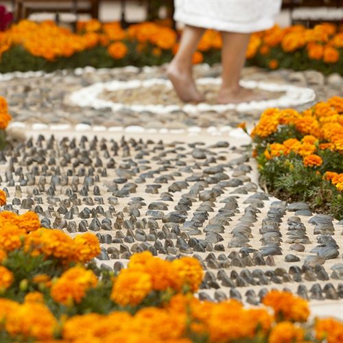 La Costa Resort & Spa  | Carlsbad | California | United States 19