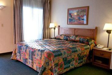 Surf Motel  | Carlsbad | California | United States 3