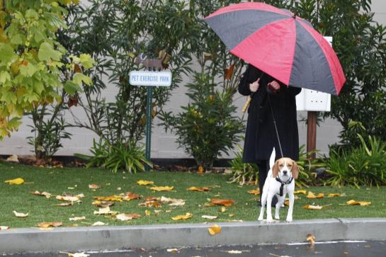 Hotel Best Western Humboldt House Inn  | Garberville | California | United States 17