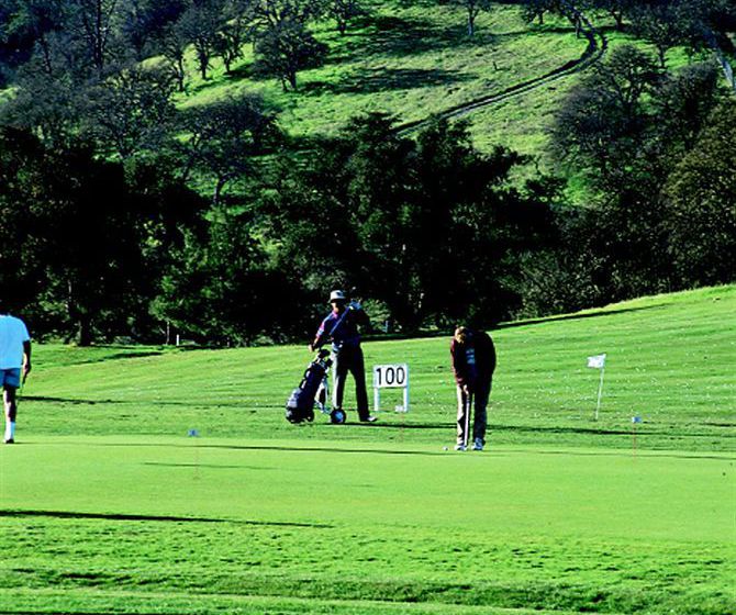 Hotel Best Western Colony Inn  | Atascadero | California | United States 1