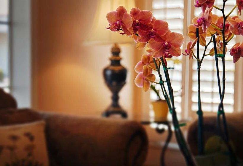 Hotel Best Western Camarillo Inn  | Camarillo | California | United States 11