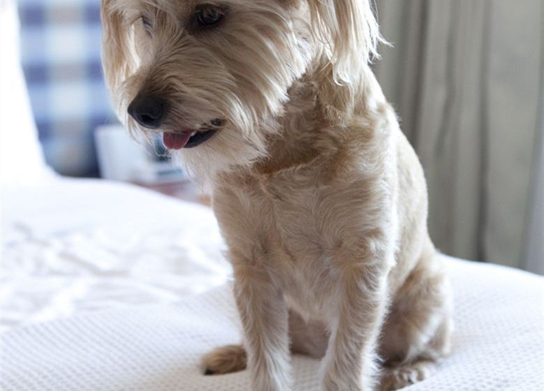 Hotel Shorebreak  | Huntington Beach | California | United States 16