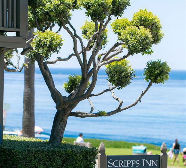 Hotel Scripps Inn  | La Jolla | California | United States 11