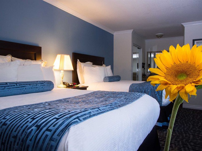 Motel Regency Inn In Los Angeles  | Los Angeles | California | United States 17