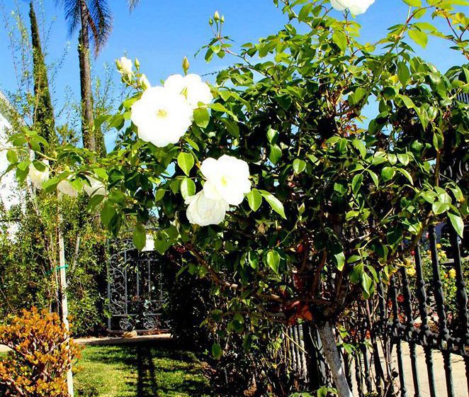 Bed and Breakfast Cinema Suites  | Los Angeles | California | United States 15