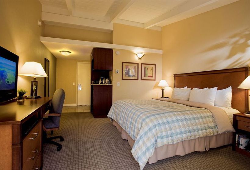 Hotel Red Cottage Inn & Suites  | Menlo Park | California | United States 20