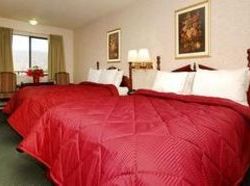 Hotel Comfort Inn Oakhurst  | Oakhurst | California | United States 4