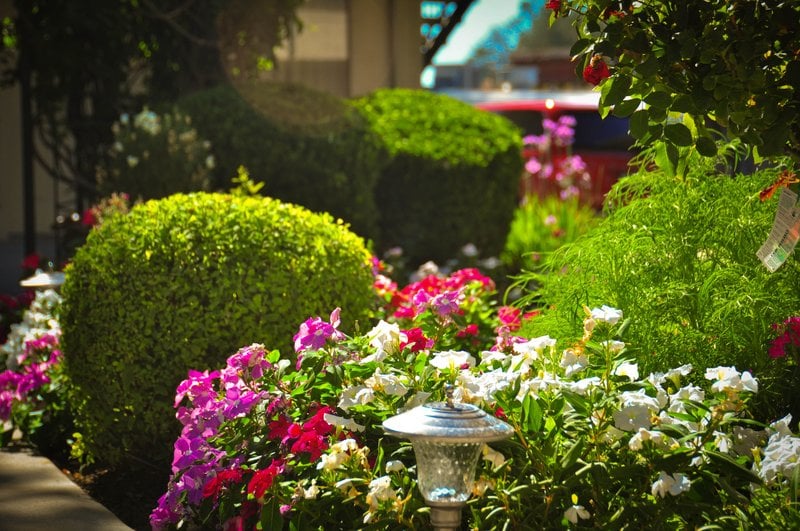 Hotel Best Western Plus Yosemite Way Station