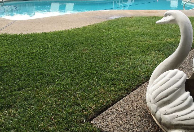 Hotel The Miners Inn  | Mariposa | California | United States 1