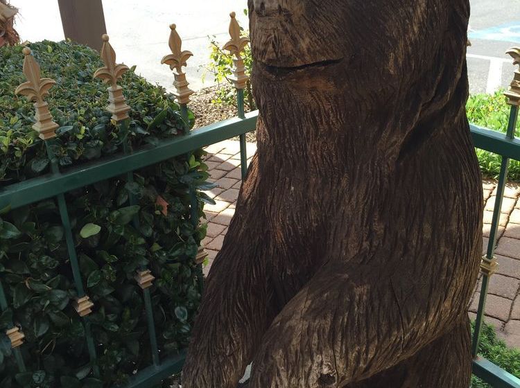 Hotel The Miners Inn  | Mariposa | California | United States 12