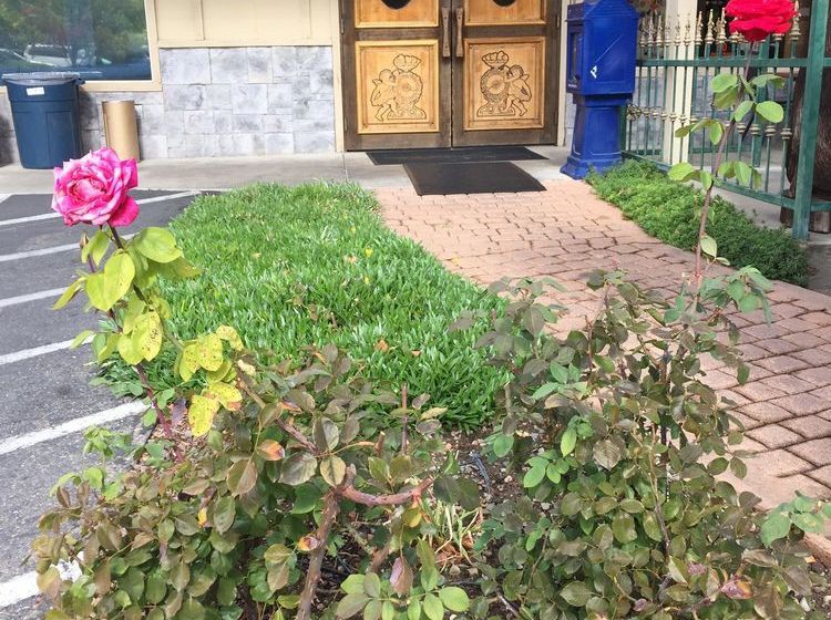 Hotel The Miners Inn  | Mariposa | California | United States 18