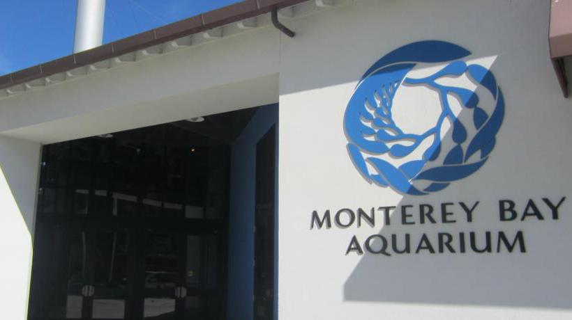 Hotel Intercontinental The Clement Monterey  | Monterey | California | United States 17