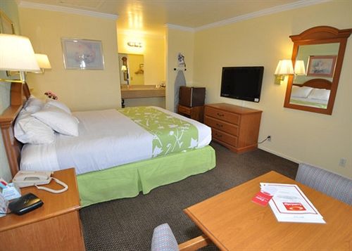 Hotel Econo Lodge Morro Bay  | Morro Bay | California | United States 5