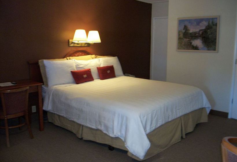 Hotel Camino Inn & Suites  | Mountain View | California | United States 19