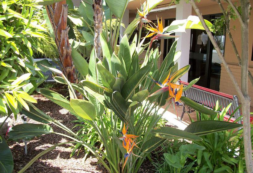 Hotel Camino Inn & Suites  | Mountain View | California | United States 5