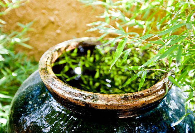 Hotel Zico  | Mountain View | California | United States 4