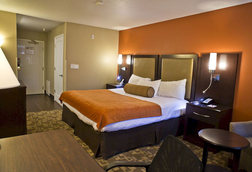 Crestview Hotel  | Mountain View | California | United States 19