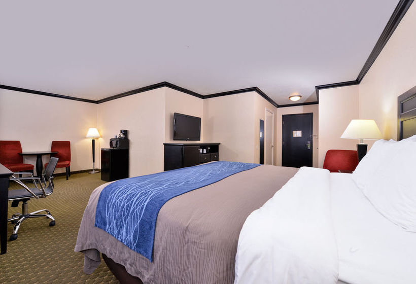 Hotel Comfort Inn Near Universal Studios Hollywood  | Los Angeles | California | United States 10