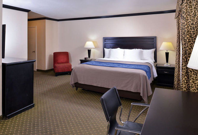 Hotel Comfort Inn Near Universal Studios Hollywood  | Los Angeles | California | United States 11