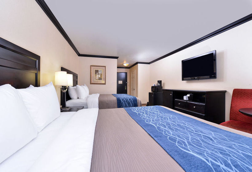 Hotel Comfort Inn Near Universal Studios Hollywood  | Los Angeles | California | United States 12