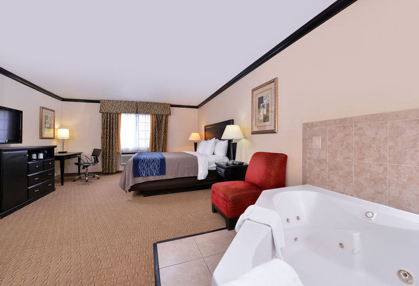 Hotel Comfort Inn Near Universal Studios Hollywood  | Los Angeles | California | United States 13