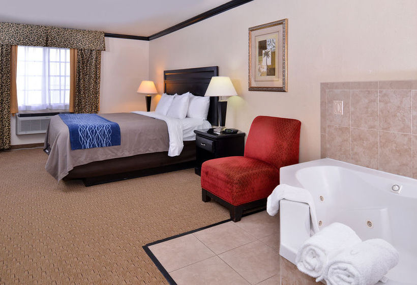 Hotel Comfort Inn Near Universal Studios Hollywood  | Los Angeles | California | United States 14