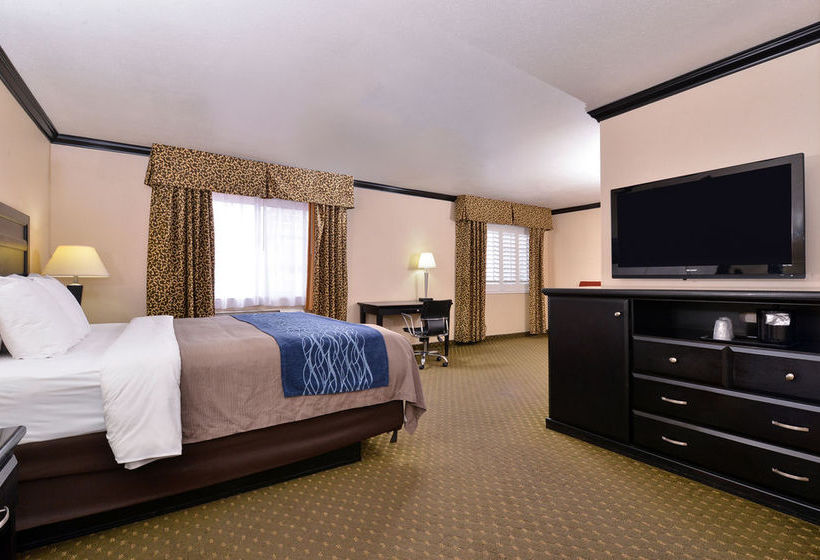 Hotel Comfort Inn Near Universal Studios Hollywood  | Los Angeles | California | United States 16
