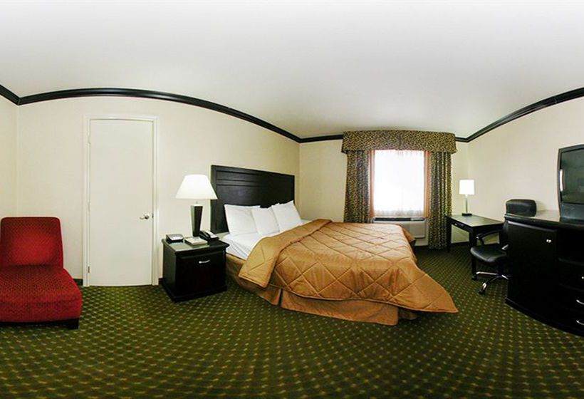 Hotel Comfort Inn Near Universal Studios Hollywood  | Los Angeles | California | United States 4
