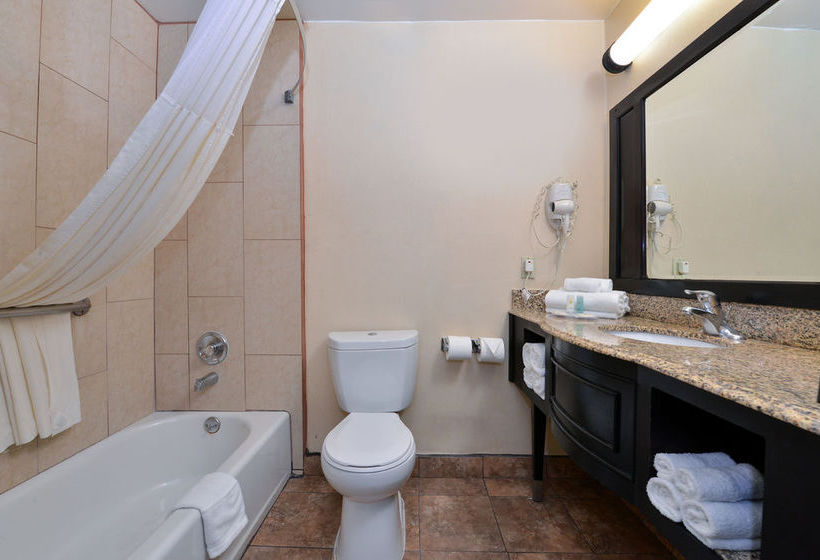 Hotel Comfort Inn Near Universal Studios Hollywood  | Los Angeles | California | United States 5