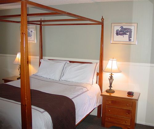 Hotel Cinnamon Bear Inn  | Mammoth Lakes | California | United States 4