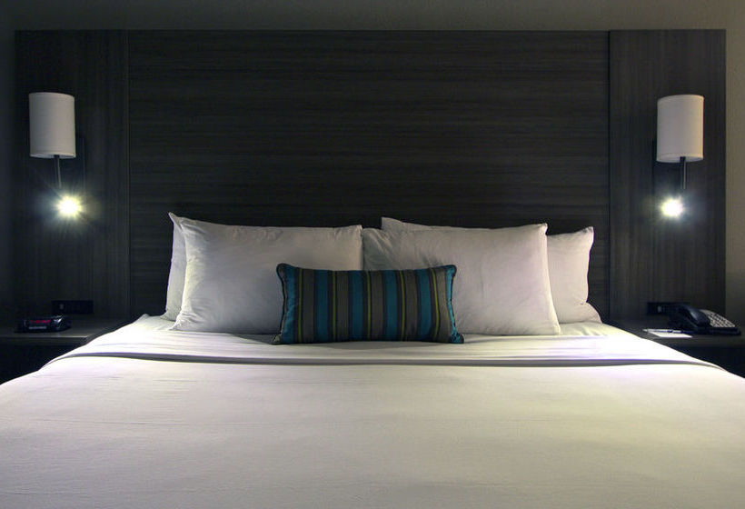 Hotel Executive Inn & Suites - Oakland Waterfront  | Oakland | California | United States 19