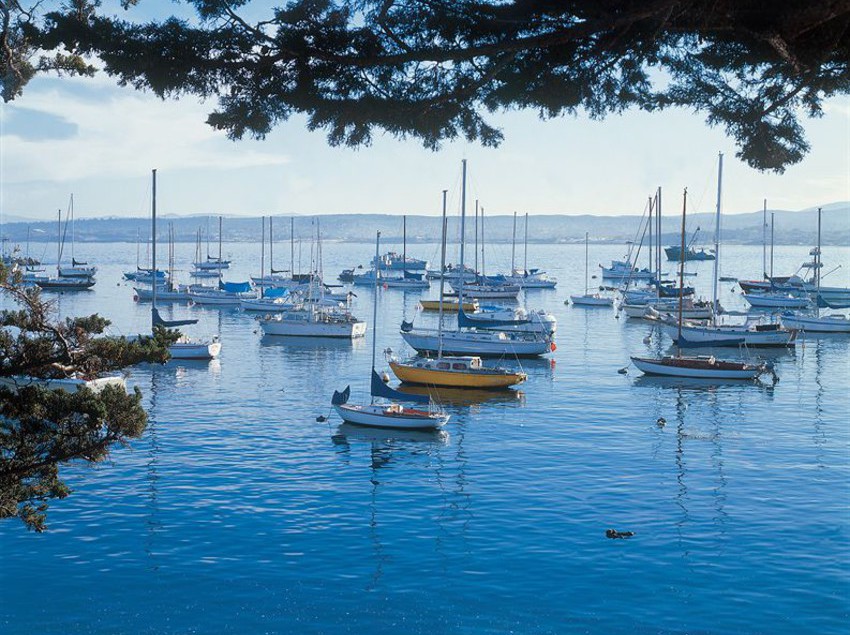 Hotel Monterey Bay Inn  | Monterey | California | United States 4