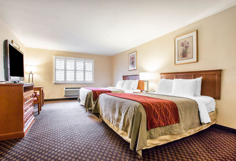 Hotel Comfort Inn & Suites Near Long Beach Conv. Ctr  | Long Beach | California | United States 19