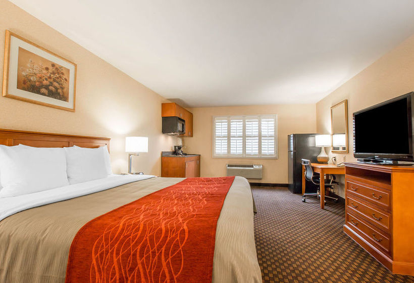 Hotel Comfort Inn & Suites Near Long Beach Conv. Ctr  | Long Beach | California | United States 9