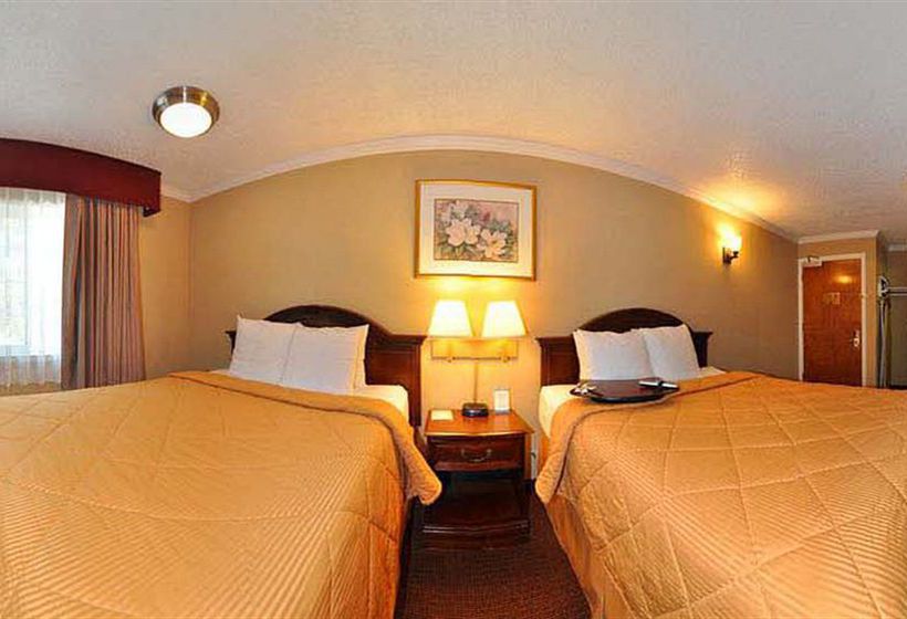 Hotel Comfort Inn Mountain View  | Mountain View | California | United States 4
