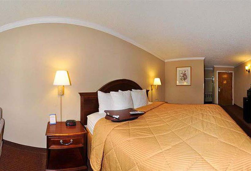 Hotel Comfort Inn Mountain View  | Mountain View | California | United States 6