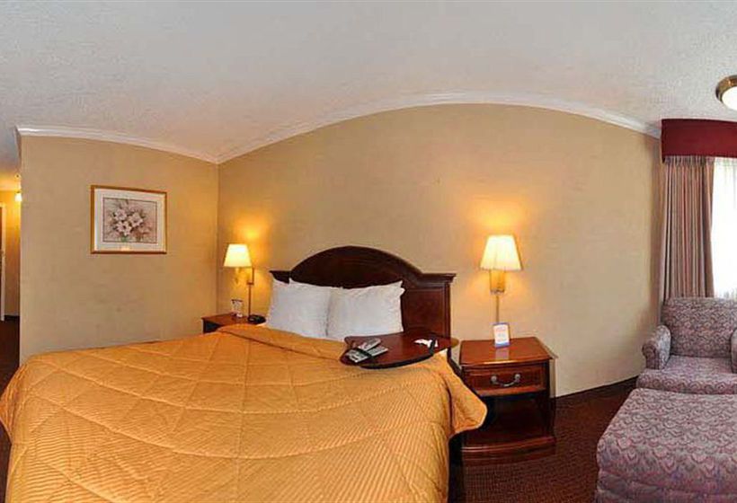 Hotel Comfort Inn Mountain View  | Mountain View | California | United States 7