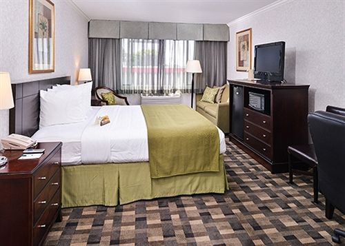Hotel Quality Inn & Suites Montebello  | Montebello | California | United States 6