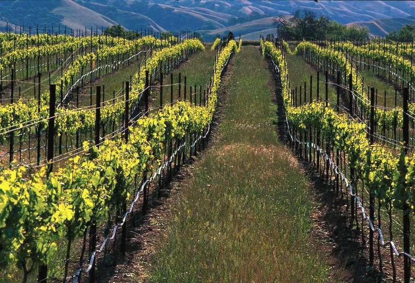 DoubleTree by Hilton Hotel Livermore  | Livermore | California | United States 20